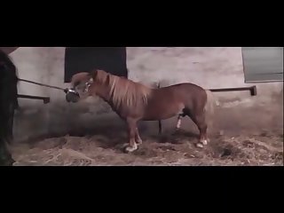 Huge It Was Hard Taking That Big Cock Into My Tiny