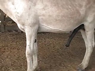 Pussy Was Spread So Wide