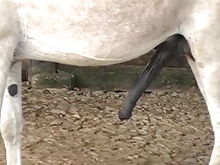 Pussy Was Spread So Wide