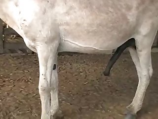 Pussy Was Spread So Wide