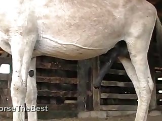 Pussy Was Spread So Wide