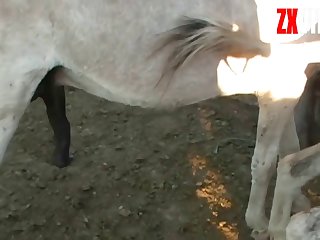 Climaxes That Big Cock Was Giving Me