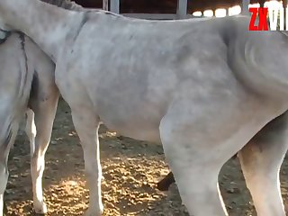 Climaxes That Big Cock Was Giving Me