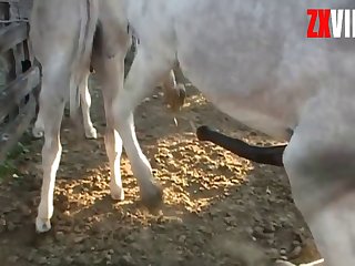 Climaxes That Big Cock Was Giving Me