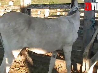 Climaxes That Big Cock Was Giving Me