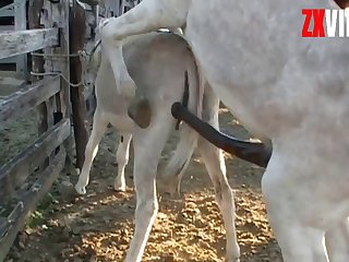 Climaxes That Big Cock Was Giving Me
