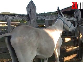 Climaxes That Big Cock Was Giving Me