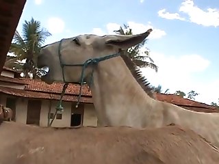 I Felt That Huge Horse Cock As It Throbbed Inside My