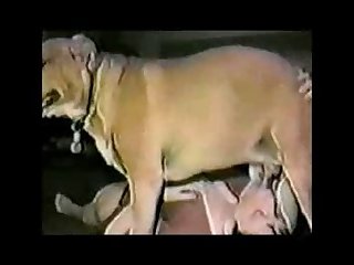 Free Animal Extreme Bondage Porn