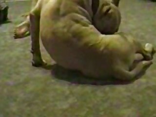 Porn Extreme Facials