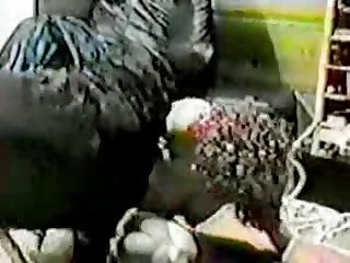 Extreme Hardcore Porn Stories