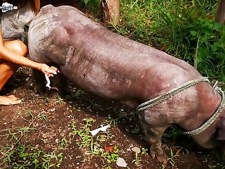 Porn Gangbang Extreme