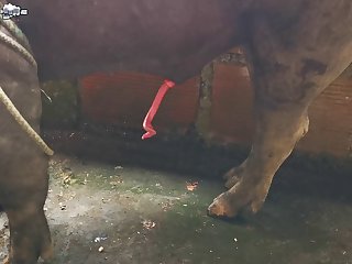 Extreme Fleshlight Porn
