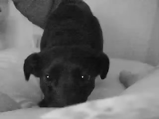 Extreme Young Looking Porn