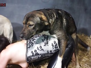 Ai Animal Porn