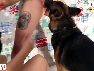 Anime Girl Fucked By Horse