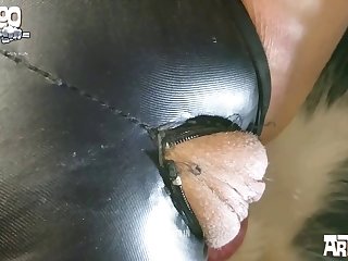 Helping My Mother Fuck The Dog