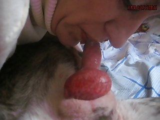 Husband Forces Wife To Fuck Dog Porn