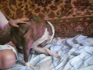 Husband Forces Wife To Fuck Dog Porn