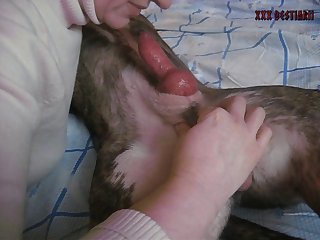 Husband Forces Wife To Fuck Dog Porn