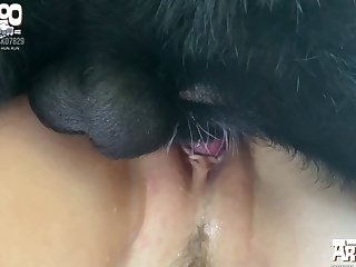 Lesbians Fuck Dog Porn