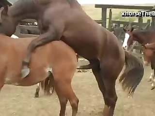 Started To Throb At The Sight Of His Enormous Cock