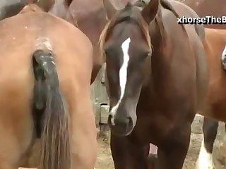 Started To Throb At The Sight Of His Enormous Cock