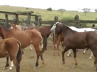 Started To Throb At The Sight Of His Enormous Cock