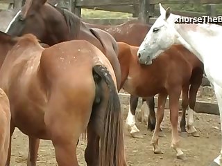 Started To Throb At The Sight Of His Enormous Cock