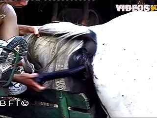 Girl Fuck Dog Gif