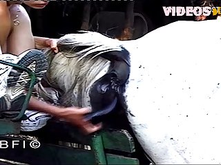 Girl Fuck Dog Gif