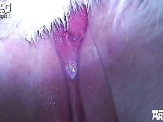 Perverted Pup Porn