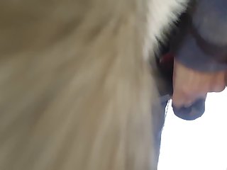 Boner Vid