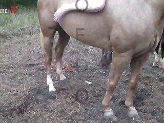 Female Sex Enema Scat