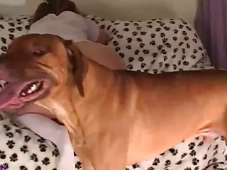 Gay Animal Sex Twitter