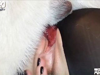 Sexanimal