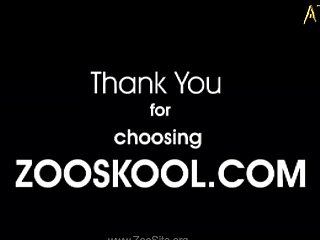 Animal Sex Videos Free