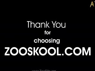 Animal Sex Videos Free