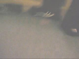 Animal And Human Sex Movie