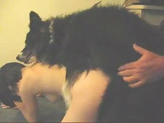 Animal Kingdom Sex Sences