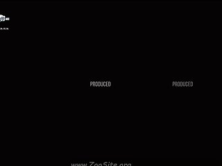 Animal Crossing Animated Sex