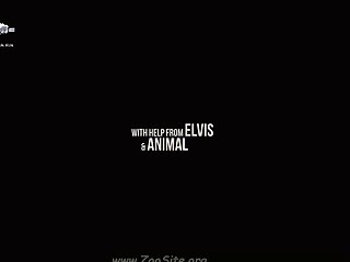 Animal Crossing Animated Sex