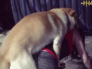 Beastiality Animal Sex Zoophilia Dog Horse Donkey