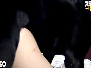 Animal Sex Sex Sex