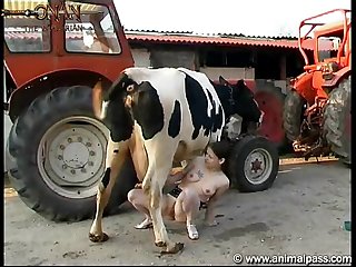You Porn Animal Sex