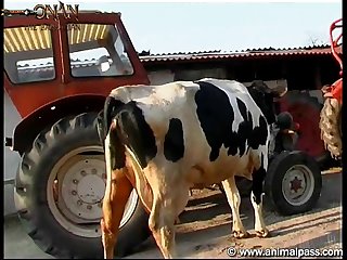 Sex Or Animal