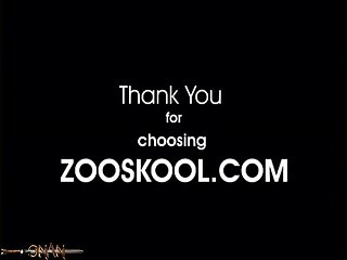 Sex With Animal In Islam