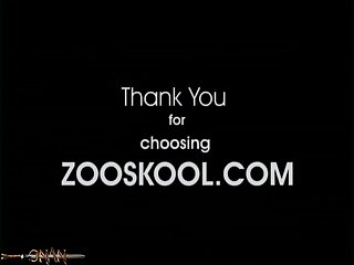 Sex With Animal In Islam