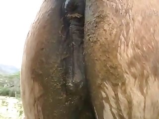 Horses Neck In Her Arms She Could Hold Herself