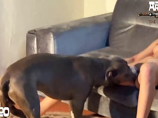 Animal Have Sex Video